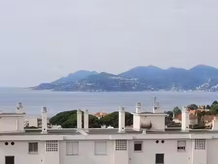 location appartement 2 pièces meublé à cannes (06150) : à louer 2 pièces meublé / 43m² can