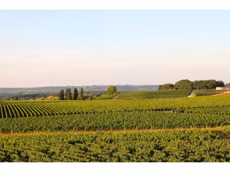 château à vendre à langon