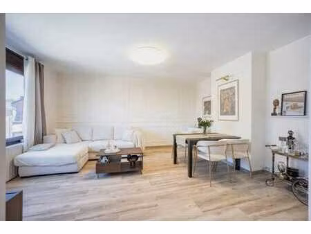 bel appartement lumineux totalement rénové