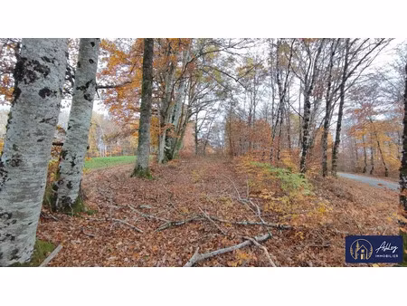 vente terrain à batir 2500 m² à palisse (19160)  25 000 €