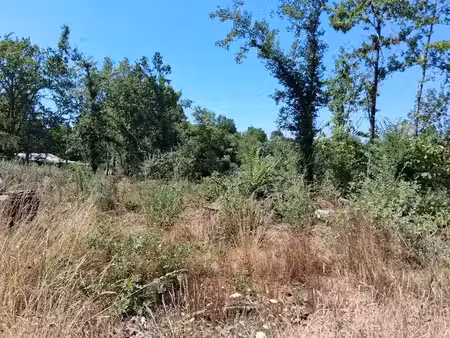 vente terrain 1500 m² à saint-jean-d'eyraud (24140)  19 000 €
