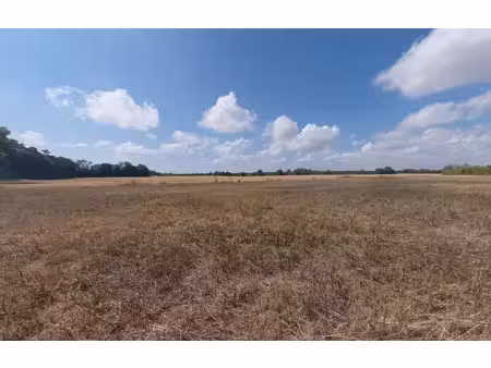 vente terrain 329 m² à beaumont-du-gâtinais (77890)  35 000 €