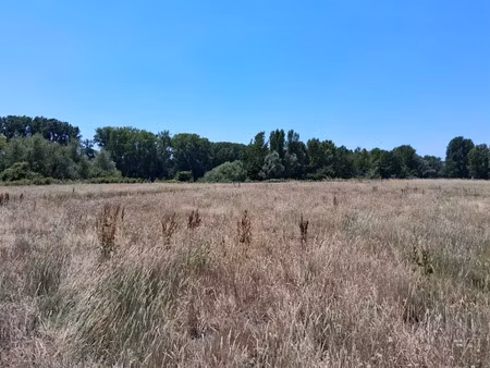 vente terrain 999 m² à creysse (24100)  35 000 €