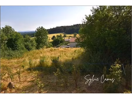 vente terrain 1200 m² à saint-pal-de-mons (43620)  69 000 €