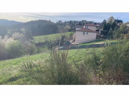 vente terrain 1850 m² à saint-ferréol-d'auroure (43330)  70 000 €