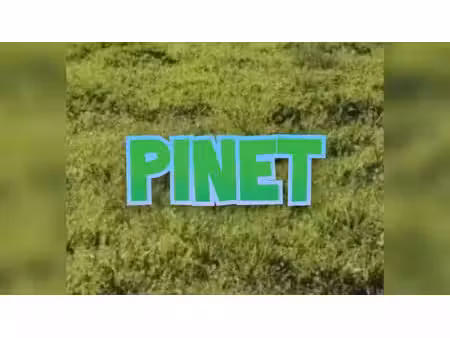 vente terrain 210 m² à pinet (34850)  93 000 €
