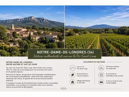 vente terrain 305 m² à notre-dame-de-londres (34380)  154 000 €