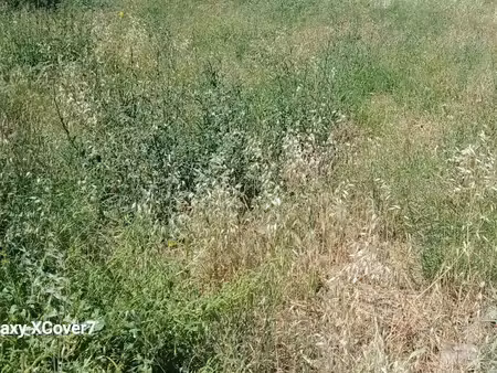 vente terrain 362 m² à saint-cyprien (66750)  158 000 €