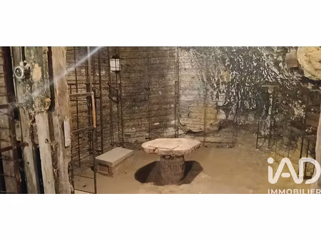 vente locaux professionnels 5 pièces 100 m² à langeais (37130)  50 000 €