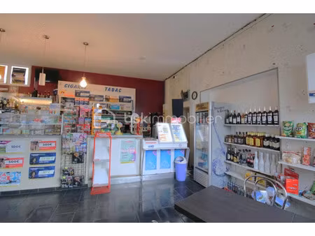 vente locaux professionnels à saint-laurent-en-gâtines (37380)  157 000 €