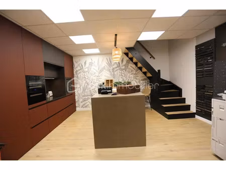 vente immeuble 9 pièces 250 m² à lille (59000)  498 000 €