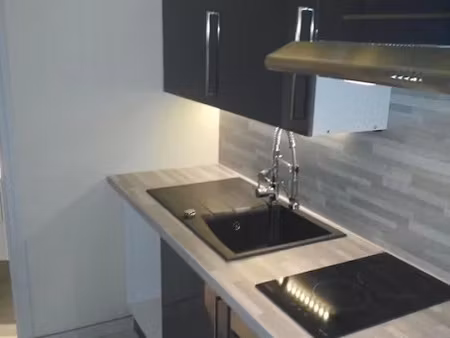 location meublée appartement 1 pièce 23 m² à fontainebleau (77300)  599 €