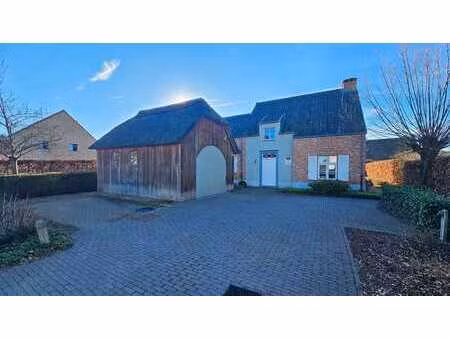 vente - maison heusden-zolder - 549 000 €