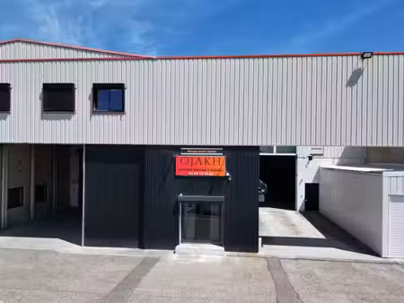 immobilier professionnel à vendre meyzieu