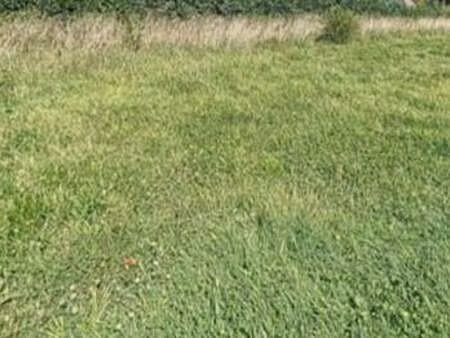 vente terrain à plomelin (29700) : à vendre / plomelin