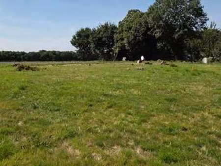 vente terrain à calorguen (22100) : à vendre / calorguen