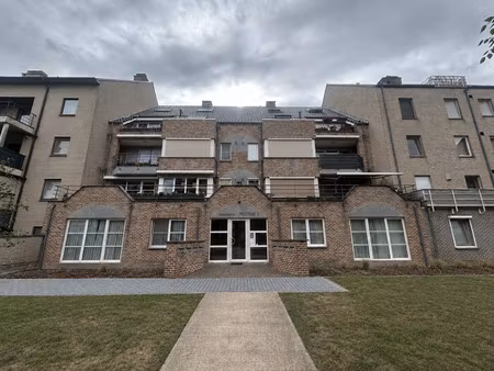 appartement te huur in pelt met 3 slaapkamers