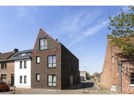 appartement te huur in beernem met 1 slaapkamer