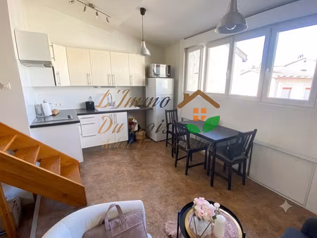 location appartement 1 pièce 23m² vienne 38200