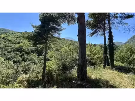 maison de 4 pièces de luxe en vente à sospel  provence-alpes-côte d'azur