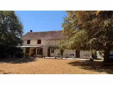 beaulieu-sur-loire ensemble immobilier de caractère  un bien rare !