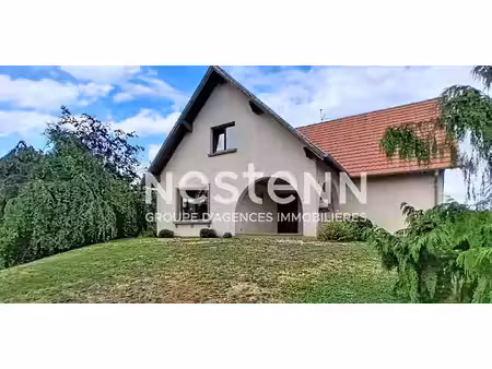 maison avec jardin et terrasse altorf (67)