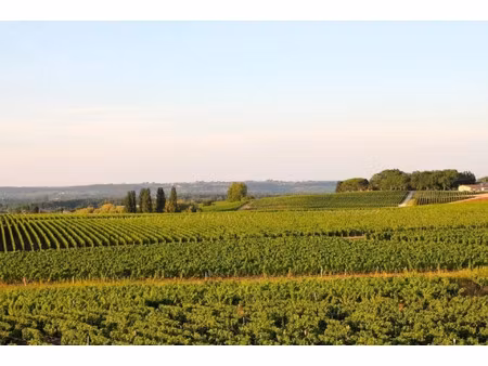 vente maison 19 pièces 600 m² langon (33210)