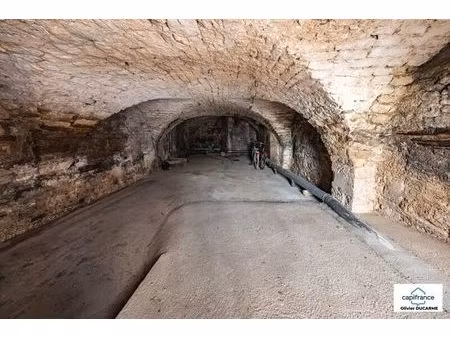 vente local industriel 1 pièce 45 m² dole (39100)