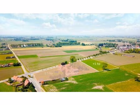 terrain agricole à vendre à lappersfortstraat 31 dixmude (rbw43313)