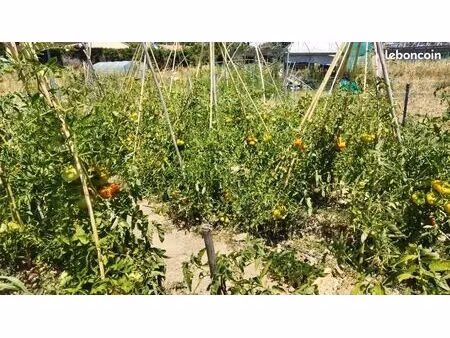 partage parcelle jardin potager