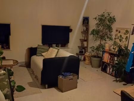 a louer logment 60m²