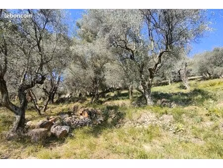 terrain 1 129 m² saint martin du var