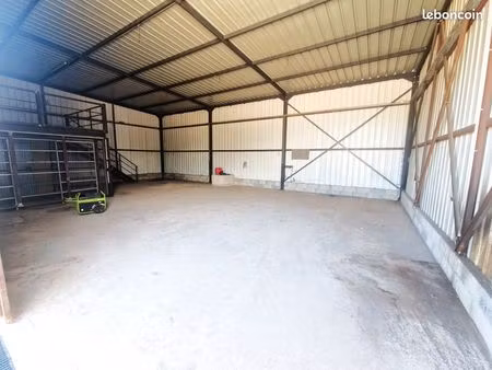 local 126 m²