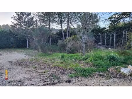 terrain constructible