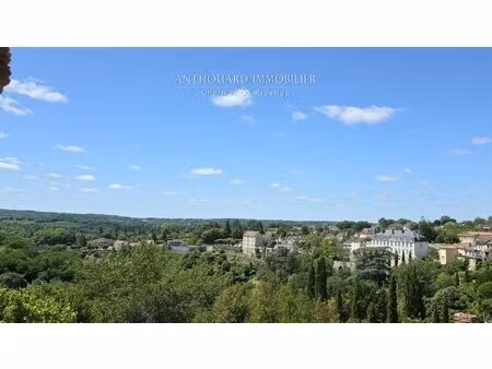 grande maison de ville avec jardin