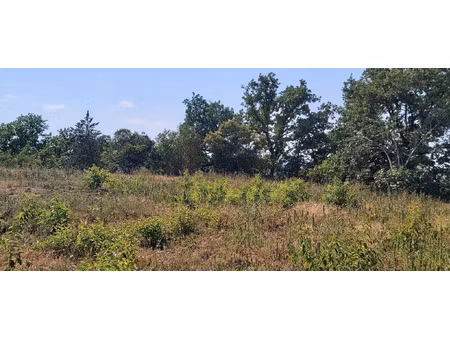 vente terrain 2812 m² muret (31600)