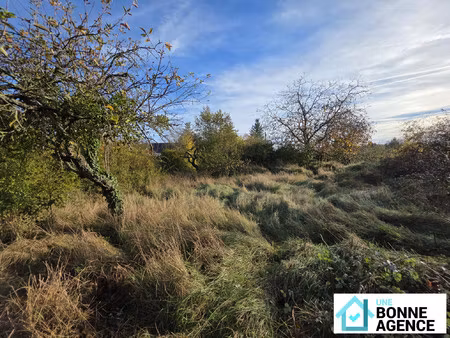 terrain 1 170 m² - idéal artisan ou pro - nazelles-négron