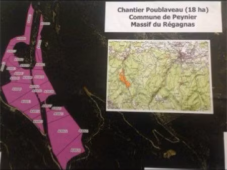 ?terrain agricole 18 ha à peynier – recherche exploitant pour partenariat d’exploitation