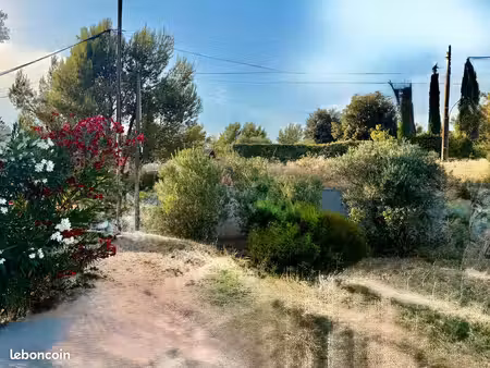 maison et jardin 400 m2 clim