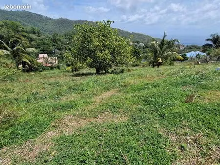 terrain 1 494 m² le morne vert