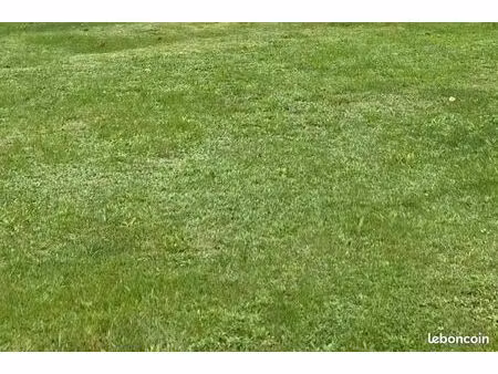 terrain 1 000 m² saint andre de lidon
