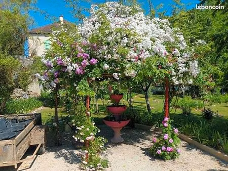 propriété de caractère – fort potentiel investisseur – 290 m² + combles aménageables