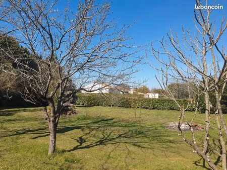 rare st hippolyte – terrain constructible 1650 m² avec verger et dépendance – calme et com