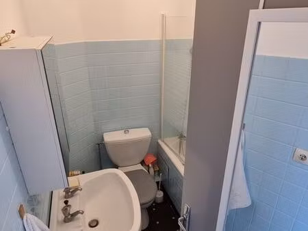 appartement 27 m2 proche cité universitaire/danton/centre ville entierement renove
