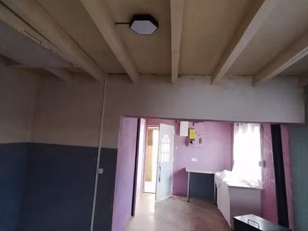 ensemble immobilier : plain-pied rénové 49m² + dépendance aménageable de 50m² + jardinet -