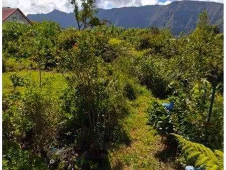 maison t4 65m2 / terrain 739m2 la plaine des palmistes