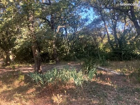 terrain à saint-siffret