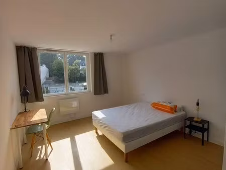 chambre dans grand appartement