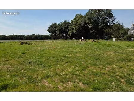terrain 523 m² calorguen