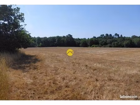 belle terrain agricole